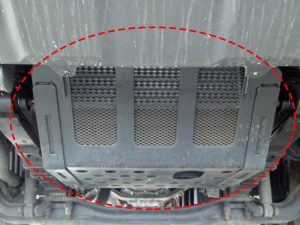 Protector Under Guard